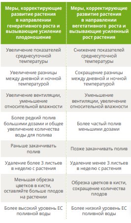 удаление боковых побегов (пасынкование)1