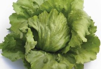 Салат 