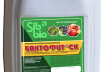 Фунгицид Бактофит СК