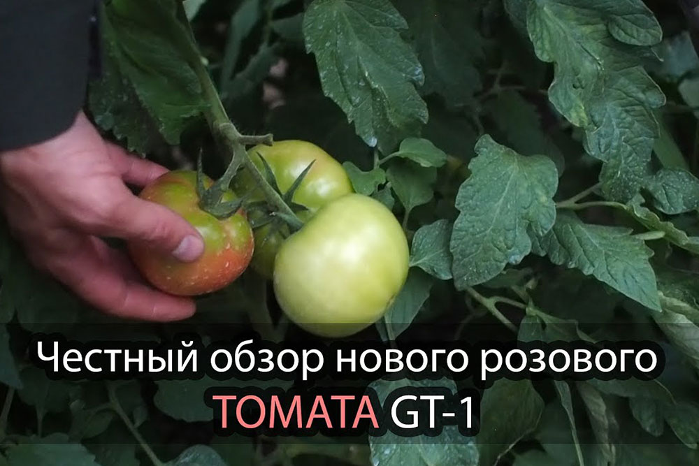ГИБРИД GT-IR1